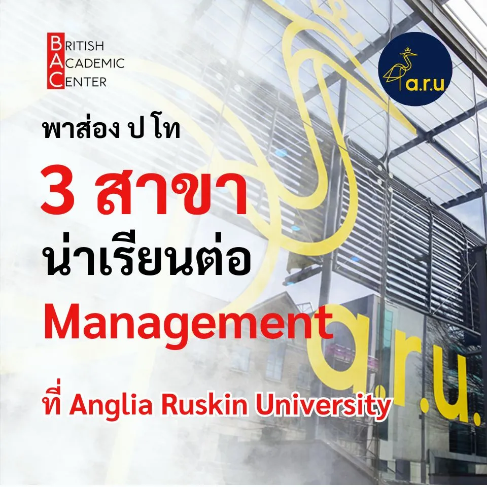 3 สาขา ป.โท สาย management