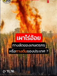 เผาไร่อ้อย