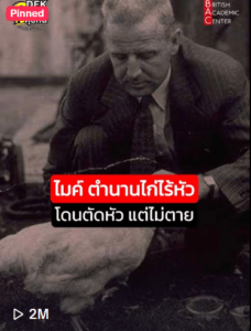 ไก่ไมค์ไม่มีคอ